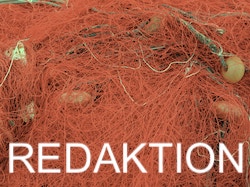 REDAKTION
